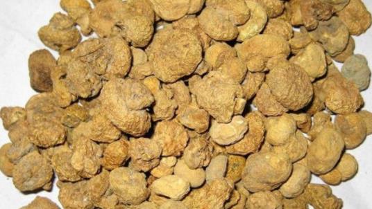 元胡種植時間是什么時候?元胡最佳種植時間