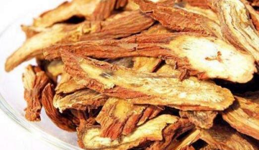 丹參種植時(shí)間是什么時(shí)候?丹參最佳種植時(shí)間