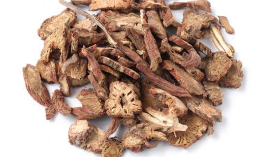 丹參種植時(shí)間是什么時(shí)候?丹參最佳種植時(shí)間