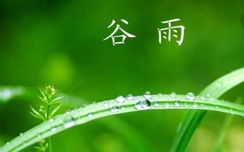 2018年谷雨是哪天?谷雨是什么時候?