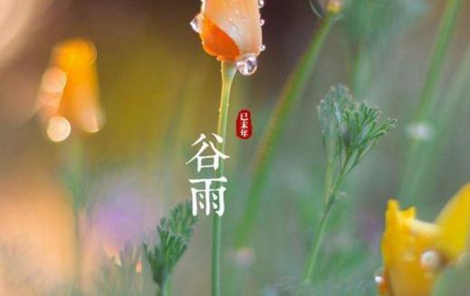 2018年谷雨是哪天?谷雨是什么時候?