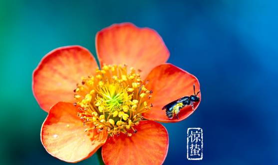 2018年驚蟄是哪天?驚蟄是什么時候?