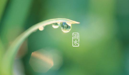 2018年雨水是哪天?雨水是什么時候?