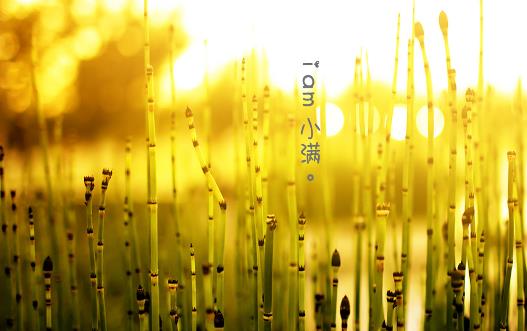 2018年小滿是哪天?小滿是什么時(shí)候?