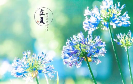 2018年立夏是哪天?立夏是什么時候?