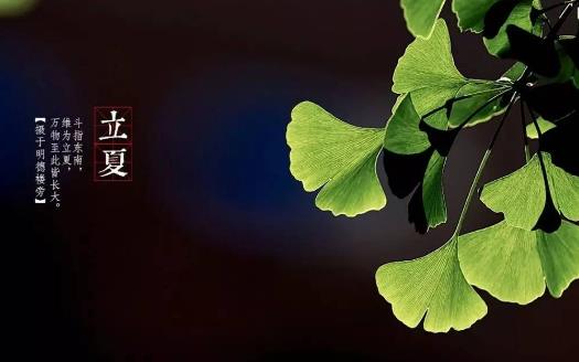 2018年立夏是哪天?立夏是什么時候?
