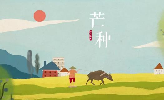 2018年芒種是哪天?芒種是什么時候?