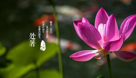 2018年處暑是哪天?處暑是什么時候?