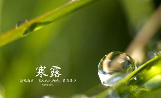 2018年寒露是哪天?寒露是什么時候?
