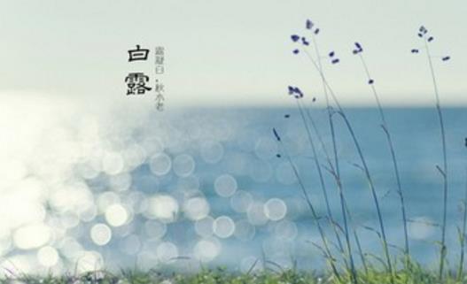 2018年白露是哪天?白露是什么時候?