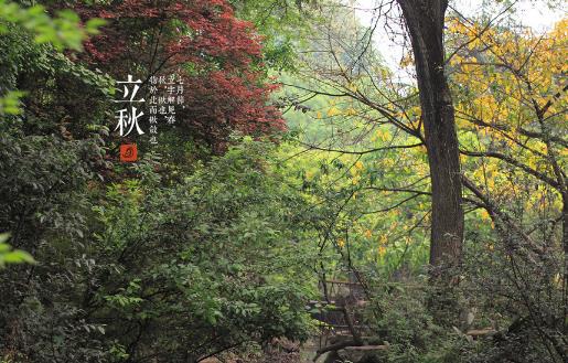 2018年立秋是哪天?立秋是什么時候?