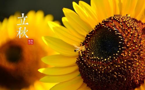 2018年立秋是哪天?立秋是什么時候?