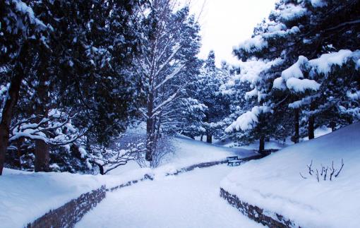 2018年大雪是哪天?大雪是什么時(shí)候?