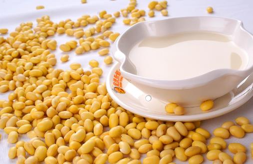 豆?jié){能天天喝嗎?什么時候喝最好?