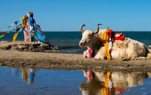 青海湖最佳旅游時間 什么季節(jié)適合去青海湖旅游?