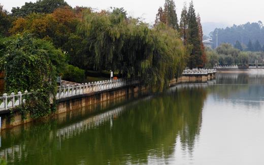 昆明什么季節(jié)旅游最合適 昆明旅游最佳時(shí)間