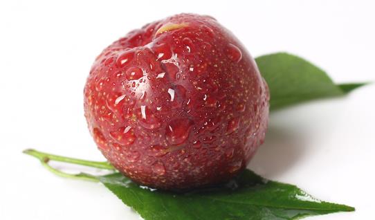 雙華李什么季節(jié)有 雙華李成熟季節(jié)