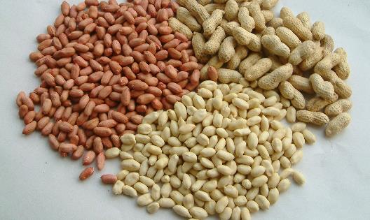 花生什么季節(jié)收獲 新鮮花生幾月份上市