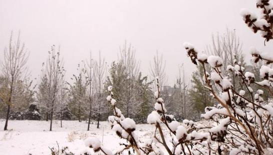 2018北京什么時(shí)候下雪 2018北京下雪時(shí)間預(yù)測(cè)