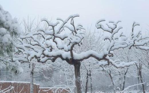 2018北京什么時(shí)候下雪 2018北京下雪時(shí)間預(yù)測(cè)