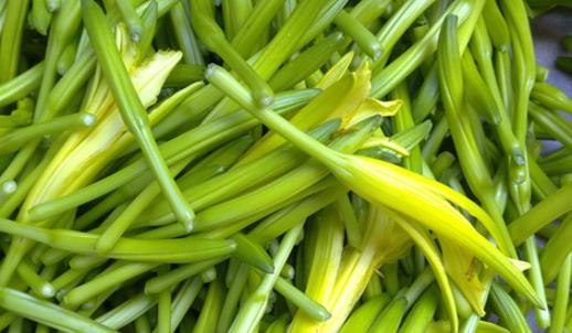 新鮮黃花菜什么時候采摘上市 新鮮黃花菜成熟季節(jié)