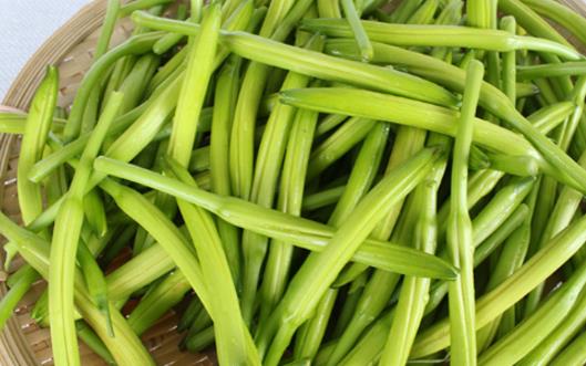 新鮮黃花菜什么時候采摘上市 新鮮黃花菜成熟季節(jié)