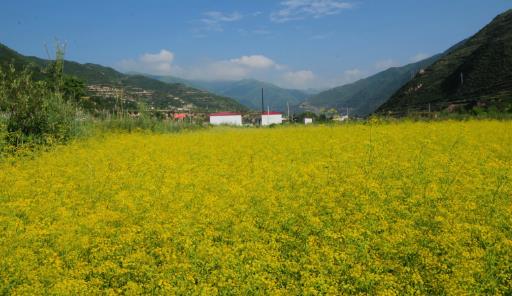 甘南什么時候去最好 甘南最佳旅游時間