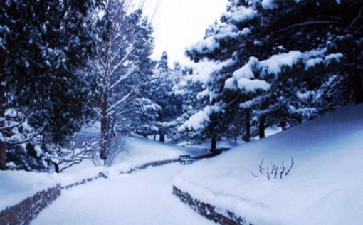 大雪節(jié)氣適合釣什么魚 大雪釣魚用什么餌料好