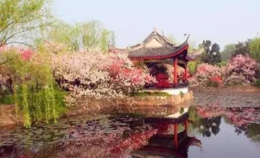 2018無錫蠡園桃花什么時候開 無錫蠡園桃花開花季節(jié)