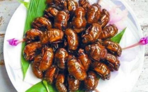 知了猴幾點(diǎn)出土 知了猴出土?xí)r間是什么時(shí)候