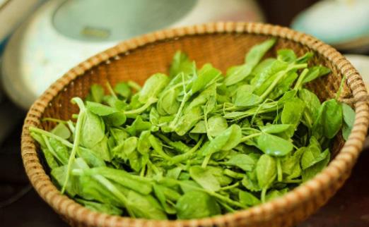 豌豆尖什么季節(jié)有 豌豆尖什么時候上市