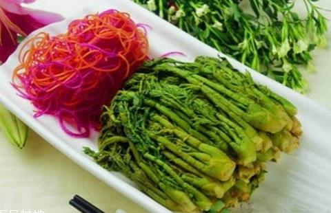 刺老芽什么時(shí)候采摘 刺老芽成熟季節(jié)