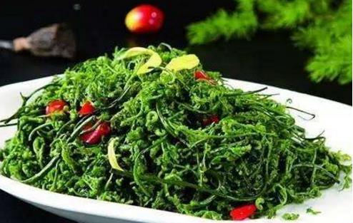 菊花腦什么時候種 菊花腦什么時候采收