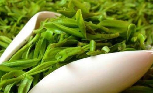 烏牛早什么時(shí)候上市 烏牛早茶采摘時(shí)間