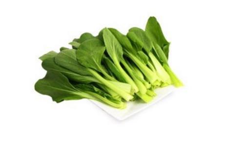 雞毛菜什么時(shí)候播種 雞毛菜什么時(shí)候吃最好