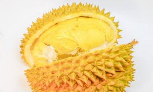 托曼尼榴蓮什么時(shí)候成熟 托曼尼榴蓮成熟季節(jié)