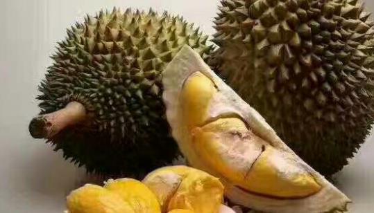 托曼尼榴蓮什么時(shí)候成熟 托曼尼榴蓮成熟季節(jié)