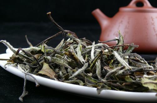 白茶什么時(shí)候開始壓餅 白茶壓餅最佳時(shí)間
