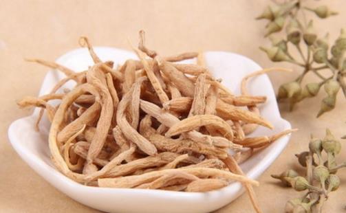 太子參什么時候吃好 太子參飯后一個小時最好