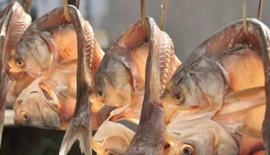 臘魚(yú)什么時(shí)候做 臘魚(yú)什么季節(jié)做