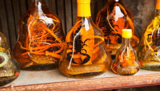 什么時(shí)候喝藥酒比較好 喝藥酒最佳時(shí)間