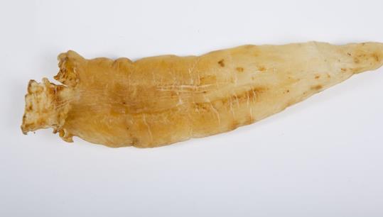 魚(yú)膠可以天天吃嗎?魚(yú)膠什么時(shí)候吃最好