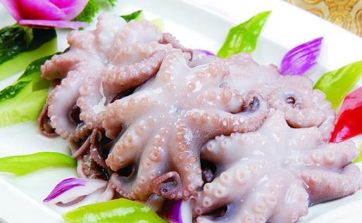 八爪魚什么季節(jié)最好吃?八爪魚什么時候有籽
