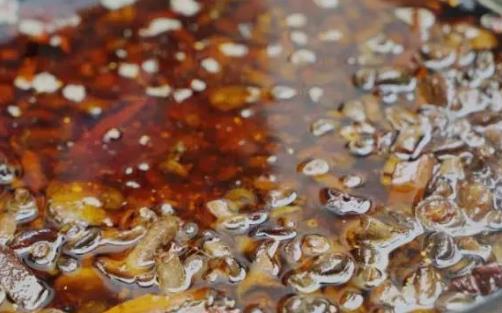 重陽菌什么時候有 重陽菌成熟季節(jié)