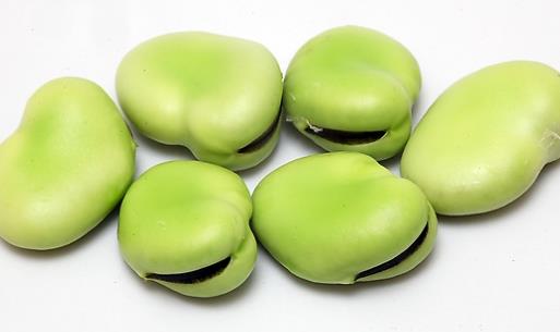 蠶豆什么時候成熟?蠶豆什么時候上市?
