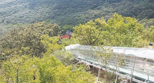 皇藏峪景區(qū)飛翔滑道什么時(shí)候開放 皇藏峪景區(qū)飛翔滑道開放時(shí)間