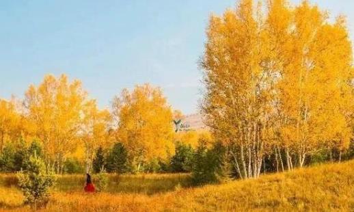 烏蘭布統(tǒng)什么時(shí)候旅游最好 烏蘭布統(tǒng)最佳旅游時(shí)間
