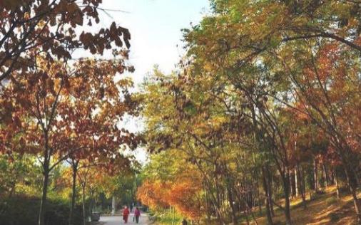 什么時(shí)候去石家莊旅游比較好 石家莊最佳旅游時(shí)間