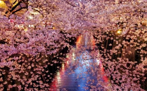 日本旅游幾月份最便宜 什么時候去日本合適