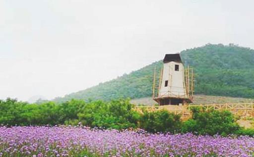 東方普羅旺斯薰衣草莊園什么時候去最好 東方普羅旺斯薰衣草莊園最佳旅游時間